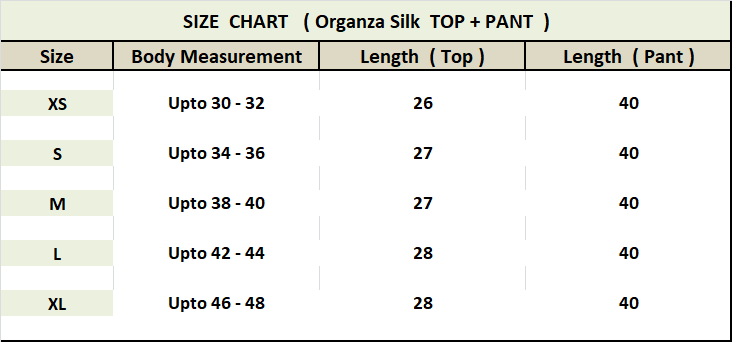 SOFT ORGANZA SILK WOMEN SHIRT TOP + PANT STYLE DRESS